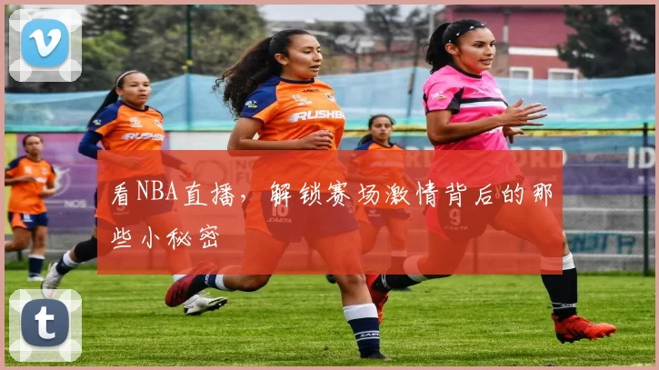 看NBA直播，解锁赛场激情背后的那些小秘密