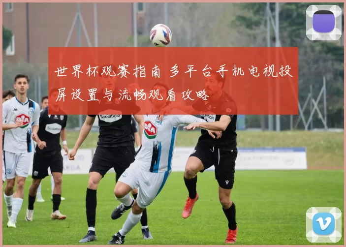 世界杯观赛指南 多平台手机电视投屏设置与流畅观看攻略
