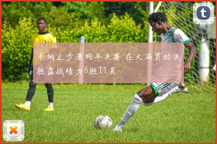 辛纳止步澳网半决赛 在大满贯的决胜盘战绩为6胜11负