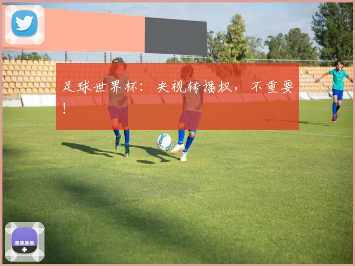 足球世界杯：央视转播权，不重要！