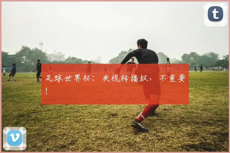 足球世界杯：央视转播权，不重要！