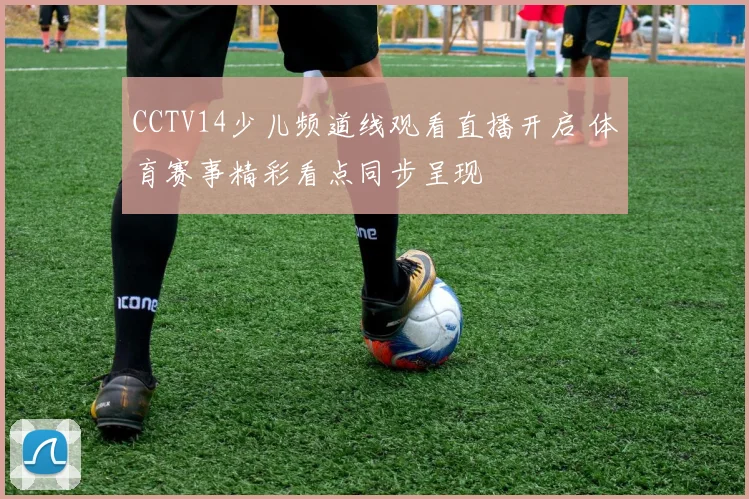 CCTV14少儿频道线观看直播开启 体育赛事精彩看点同步呈现