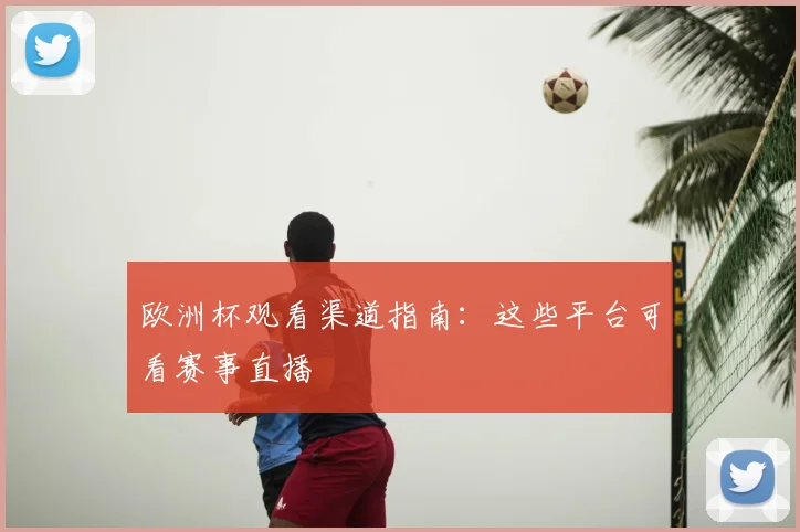 欧洲杯观看渠道指南：这些平台可看赛事直播