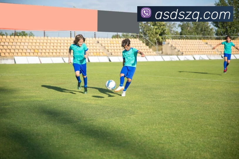 开云(中国)Kaiyun·官方网站 - 登录入口发展历程